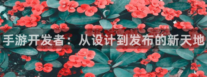 安信12娱乐注册：手游开发者：从设计到发布的新天地