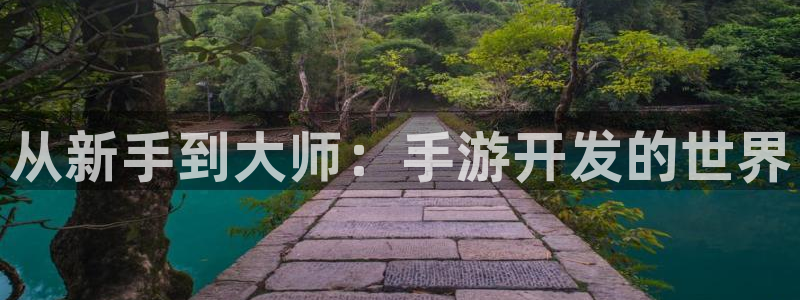 安信14娱乐注册：从新手到大师：手游开发的世界