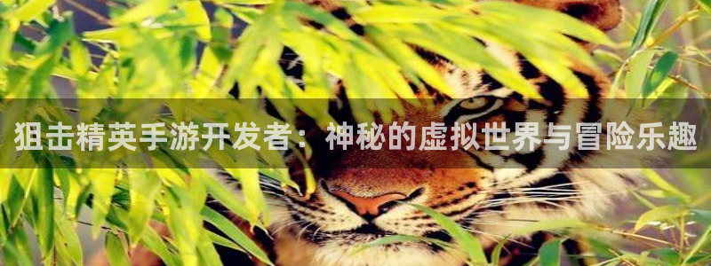 安信2娱乐：狙击精英手游开发者：神秘的虚拟世界与冒险乐趣