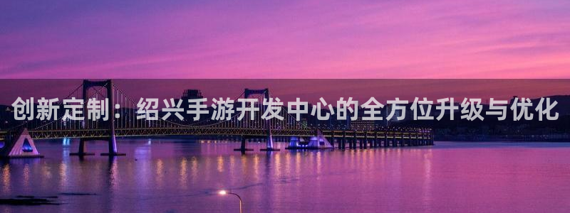 安信娱乐2：创新定制：绍兴手游开发中心的全方位升级与优化