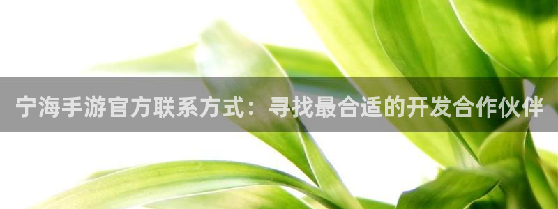 安信12娱乐网：宁海手游官方联系方式：寻找最合适的开发合作伙