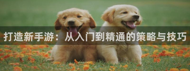 安信12娱乐登录：打造新手游：从入门到精通的策略与技巧
