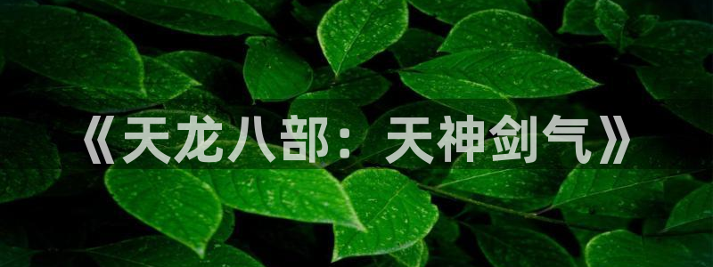 安信12娱乐登录：《天龙八部：天神剑气》