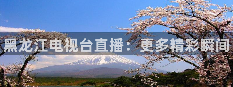 919体育专业直播平台：黑龙江电视台直播：更多精彩瞬间