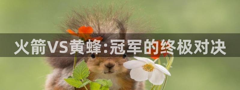 919nba直播篮球比赛：火箭VS黄蜂:冠军的终极对决