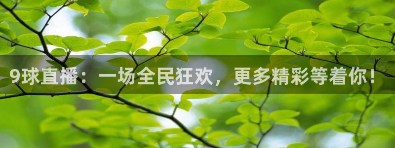 919看球直播：9球直播：一场全民狂欢，更多精彩等着你！