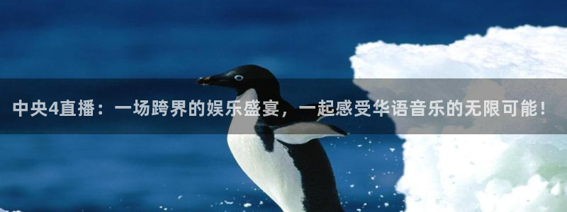 919足球直播间：中央4直播：一场跨界的娱乐盛宴，一起感受华语音乐的无限可能！