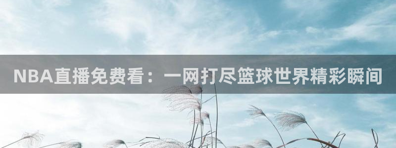 nba在线直播919：NBA直播免费看：一网打尽篮球世界精彩瞬间
