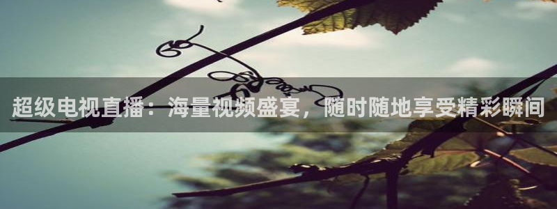919直播看球下载：超级电视直播：海量视频盛宴，随时随地享受精彩瞬间