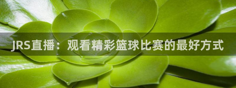 919直播在线看球：JRS直播：观看精彩篮球比赛的最好方式