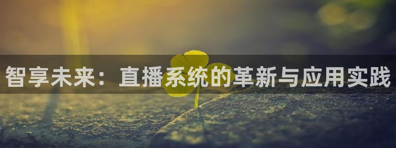 919直播足球：智享未来：直播系统的革新与应用实践