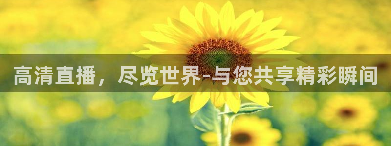 919足球直播间：高清直播，尽览世界-与您共享精彩瞬间