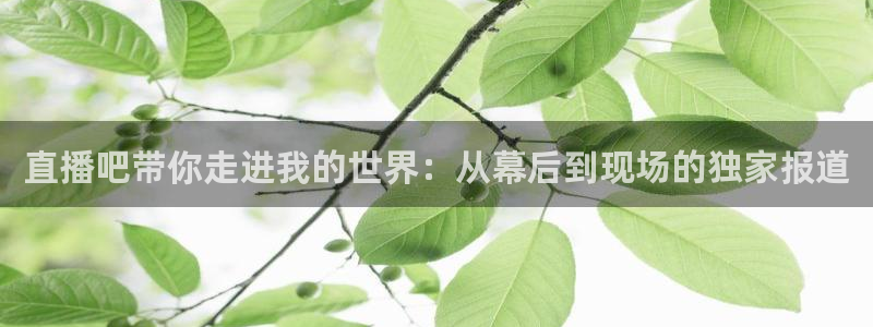919体育在线直播官网：直播吧带你走进我的世界：从幕后到现场的独家报道
