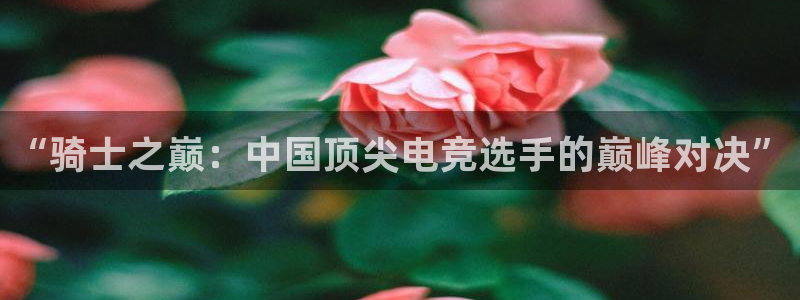 919nba直播：“骑士之巅：中国顶尖电竞选手的巅峰对决”