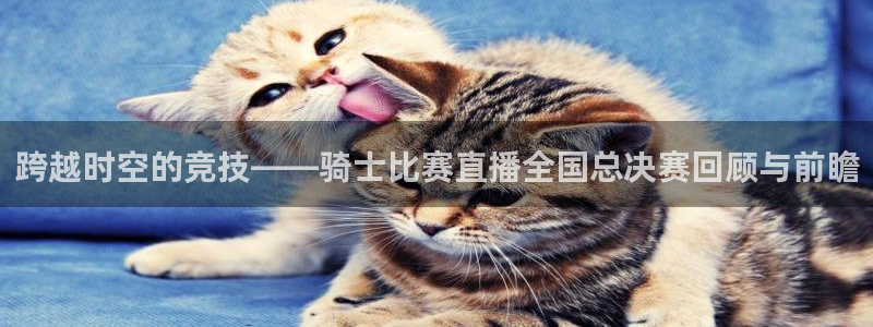 919直播体育：跨越时空的竞技——骑士比赛直播全国总决赛回顾与前瞻