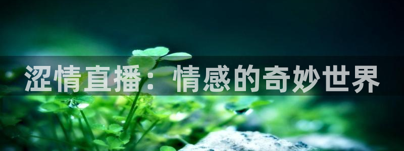 919足球直播：涩情直播：情感的奇妙世界